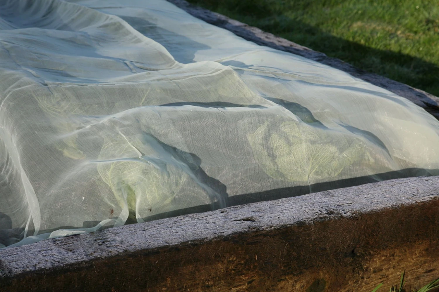 Micromesh Prepack 2 Micromesh Prepack - immagine 2