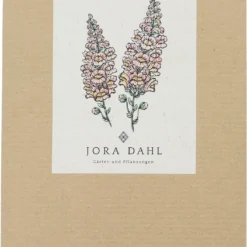 Antirrhinum Majus - Bocca Di Leone Costa Apricot 5 Antirrhinum Majus - Bocca Di Leone Costa Apricot -Offerta Economica Verdi Giard jora dahl antirrhinum costa apricot 1 pkt 1401370 it