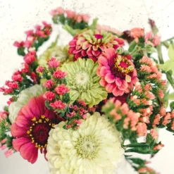 Wild Bouquet - Zinnia Collection