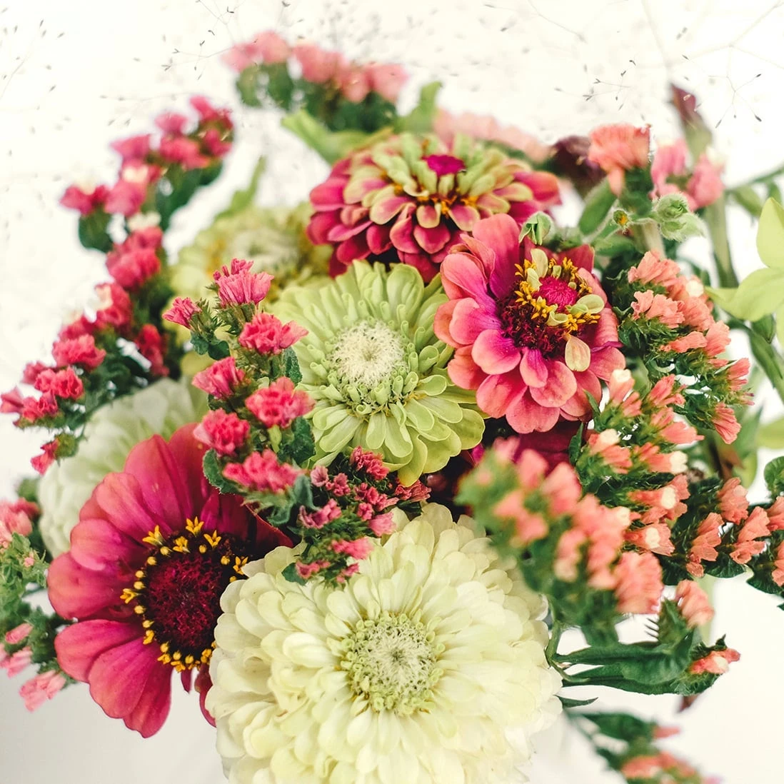 Wild Bouquet - Zinnia Collection 1 Wild Bouquet - Zinnia Collection