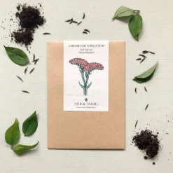 Limonium Sinuatum - QIS Apricot 5 Limonium Sinuatum - QIS Apricot -Offerta Economica Verdi Giard jora dahl limonium sinuatum qis apricot 1 conf 778766 it