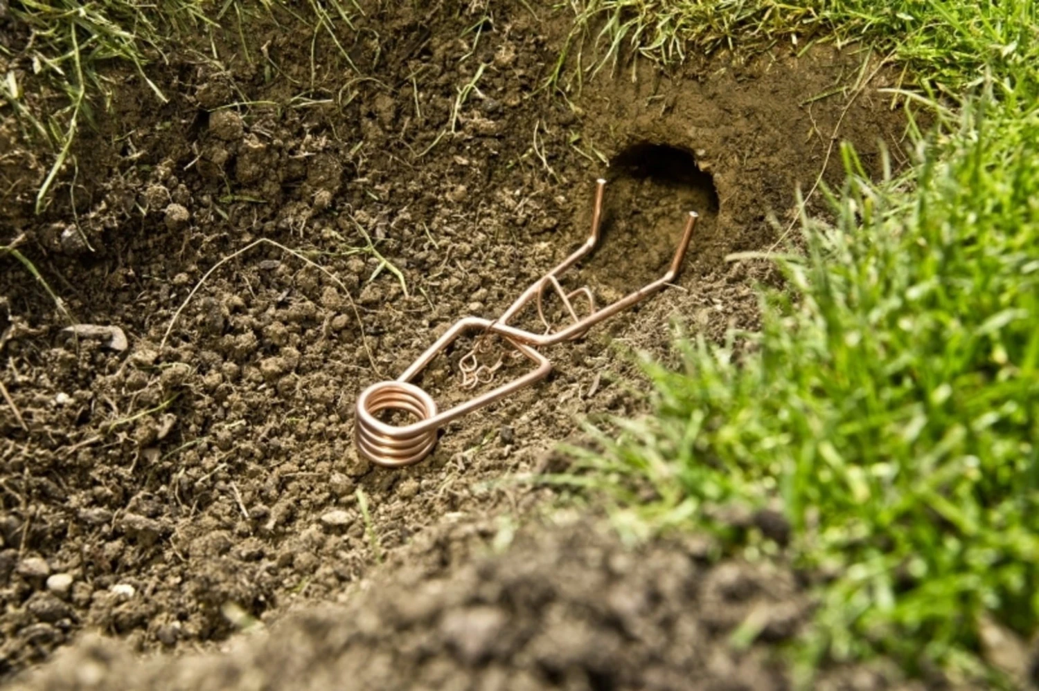 Trappola Baden Per Arvicola 1 Trappola Baden Per Arvicola