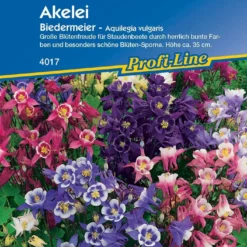 Offerta Economica Verdi Giard -Offerta Economica Verdi Giard kiepenkerl aquilegia biedermeier 1 pkt 1210578 it