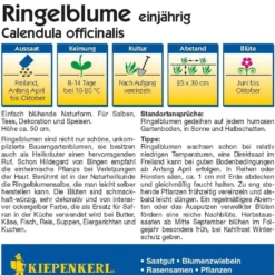 Offerta Economica Verdi Giard -Offerta Economica Verdi Giard kiepenkerl calendula 1 paket 1660887 it
