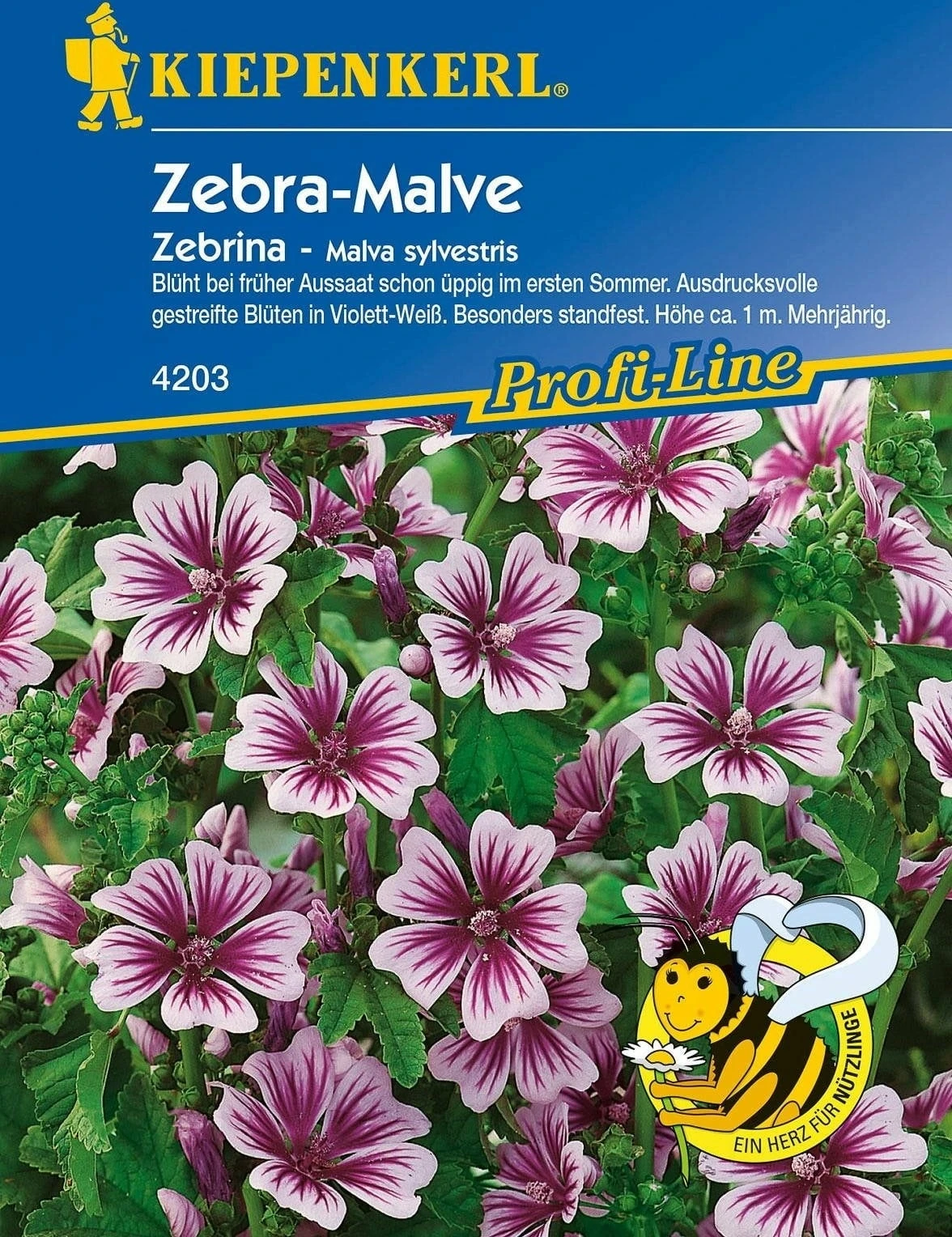 Malva Selvatica "Zebrina" 2 Malva Selvatica "Zebrina" - immagine 2