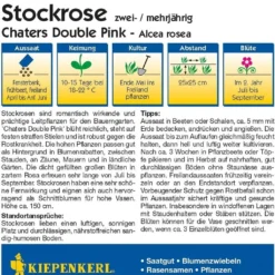 Malvarosa "Chaters Double Pink"