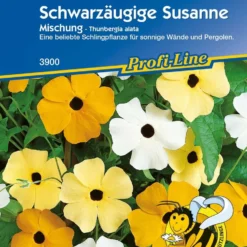 Offerta Economica Verdi Giard -Offerta Economica Verdi Giard kiepenkerl mix di susanna dagli occhi neri 1 pkt 1208524 it