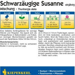 Offerta Economica Verdi Giard 21 Mix Di Susanna Dagli Occhi Neri