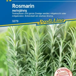 Rosmarino Perenne