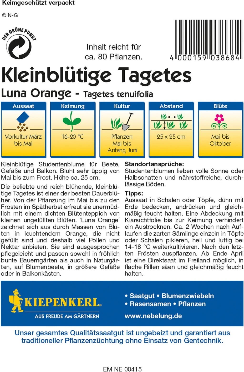 Tagete "Luna Orange" 1 Tagete "Luna Orange"