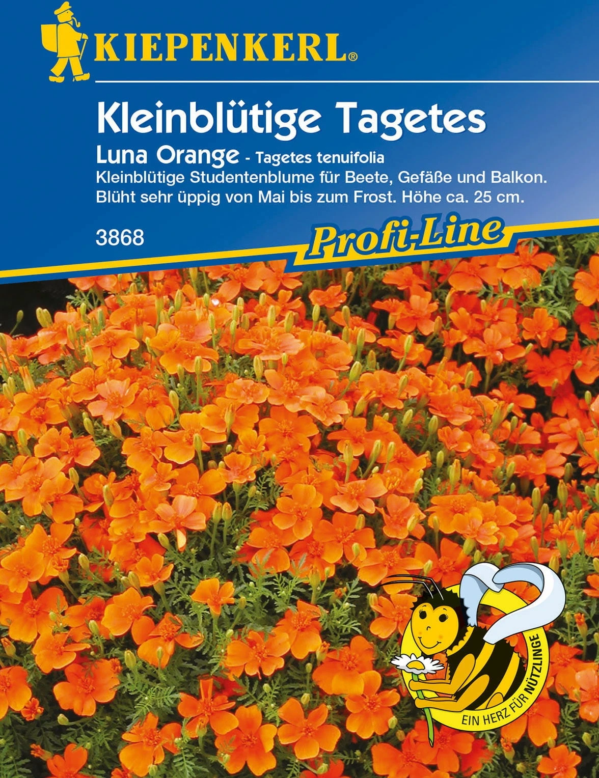 Tagete "Luna Orange" 2 Tagete "Luna Orange" - immagine 2
