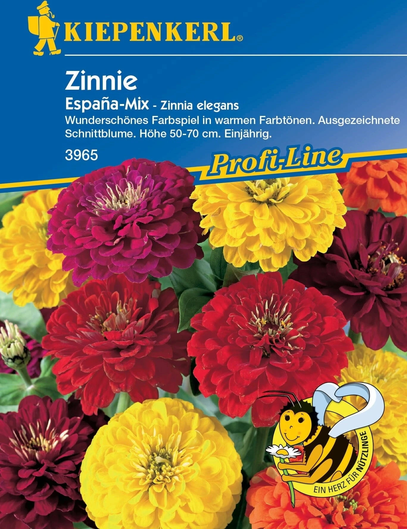Zinnia "España Mix" 2 Zinnia "España Mix" - immagine 2