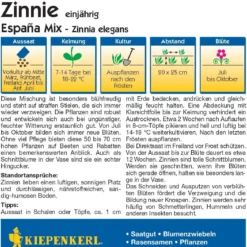 Zinnia "España Mix"