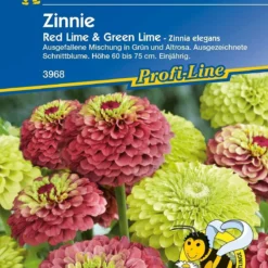 Zinnia "Red Lime & Green Lime"
