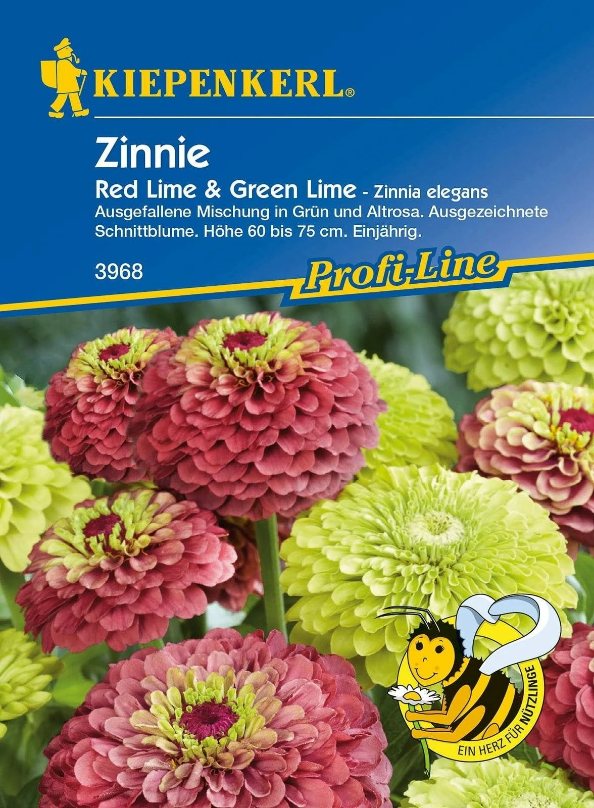 Zinnia "Red Lime & Green Lime" 1 Zinnia "Red Lime & Green Lime"