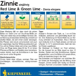 Nuovi Prodotti -Offerta Economica Verdi Giard kiepenkerl zinnia red lime green lime 1517022 it
