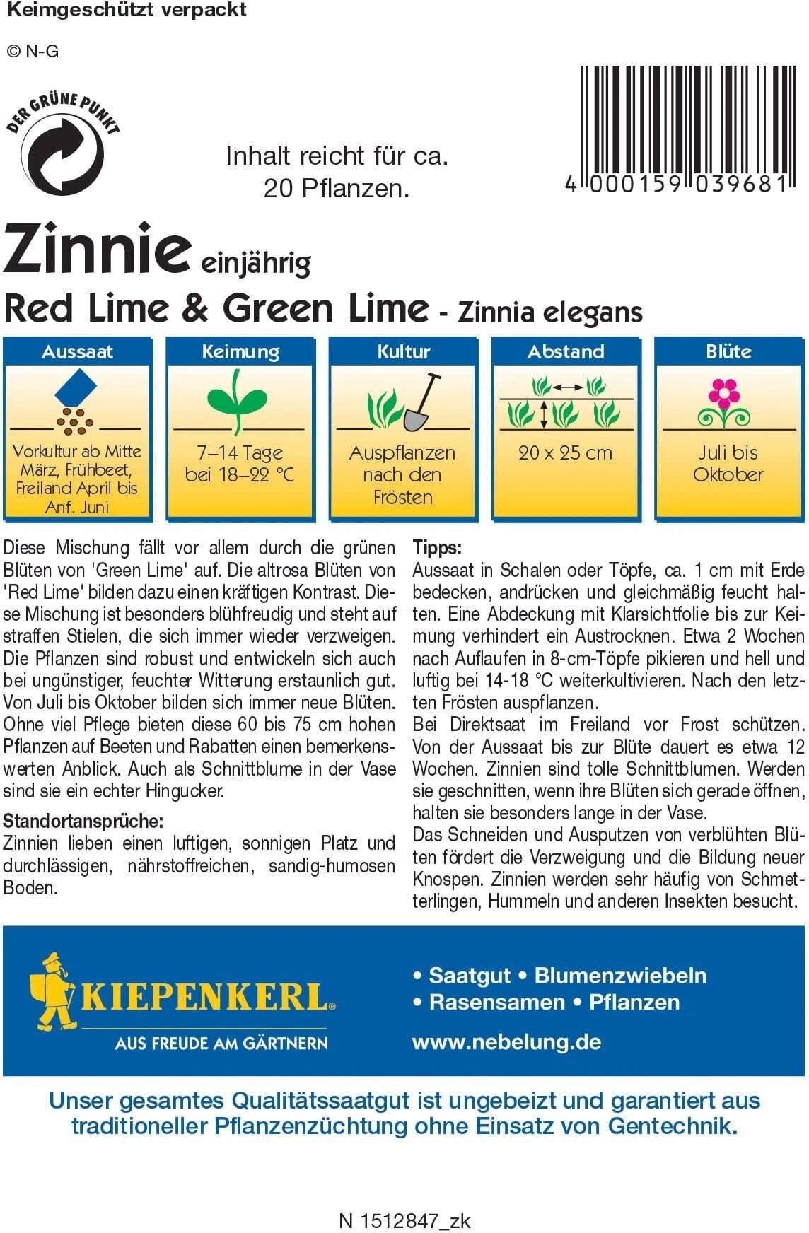 Zinnia "Red Lime & Green Lime" 2 Zinnia "Red Lime & Green Lime" - immagine 2