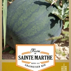 Offerta Economica Verdi Giard 4 Cocomero "Sugar Baby"