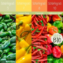 Set Bio Per Coltivazione - Peperoncini -Offerta Economica Verdi Giard loveplants set bio per coltivazione peperoncini 1547131 it