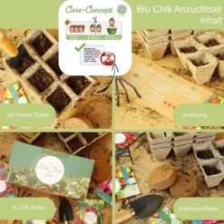 Set Bio Per Coltivazione - Peperoncini -Offerta Economica Verdi Giard loveplants set bio per coltivazione peperoncini 1547135 it