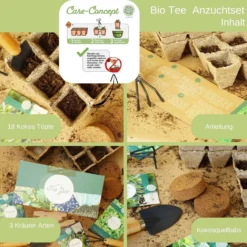 Set Bio Per Coltivazione - Tisane -Offerta Economica Verdi Giard loveplants set bio per coltivazione tisane 1547219 it