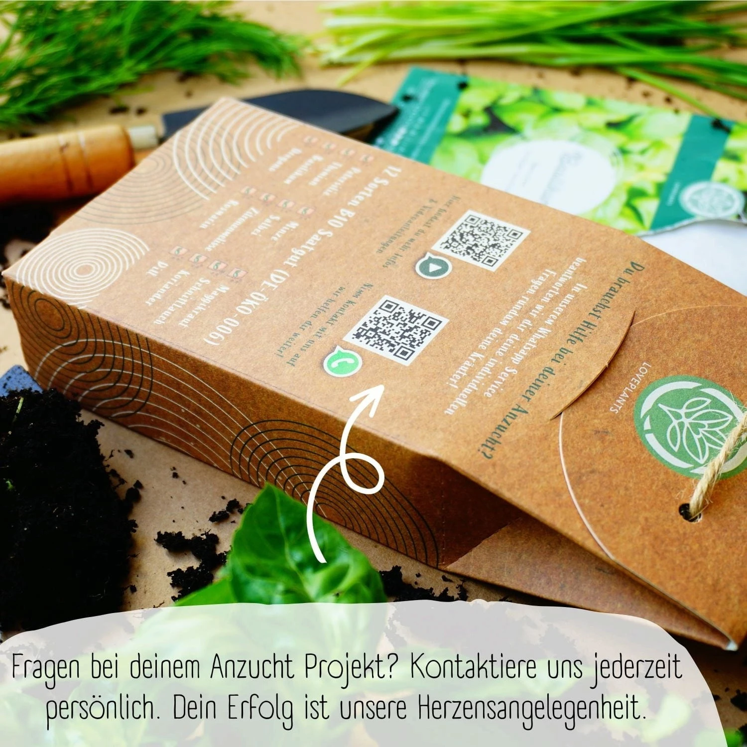 Set Di Semi Bio - Erbe Aromatiche 1 Set Di Semi Bio - Erbe Aromatiche