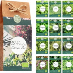 Set Di Semi Bio - Erbe Aromatiche 8 Set Di Semi Bio - Erbe Aromatiche -Offerta Economica Verdi Giard loveplants set di semi bio erbe aromatiche 1547290 it