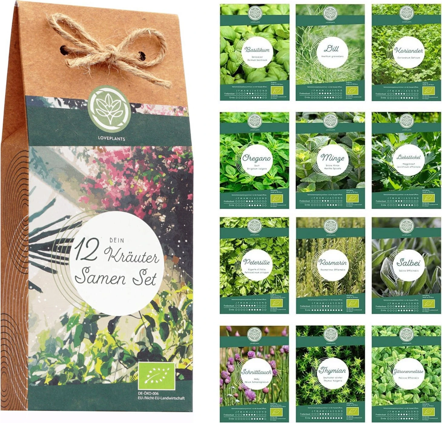 Set Di Semi Bio - Erbe Aromatiche 4 Set Di Semi Bio - Erbe Aromatiche - immagine 4