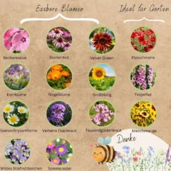 Set Di Semi Bio - Fiori 9 Set Di Semi Bio - Fiori -Offerta Economica Verdi Giard loveplants set di semi bio fiori 1546651 it