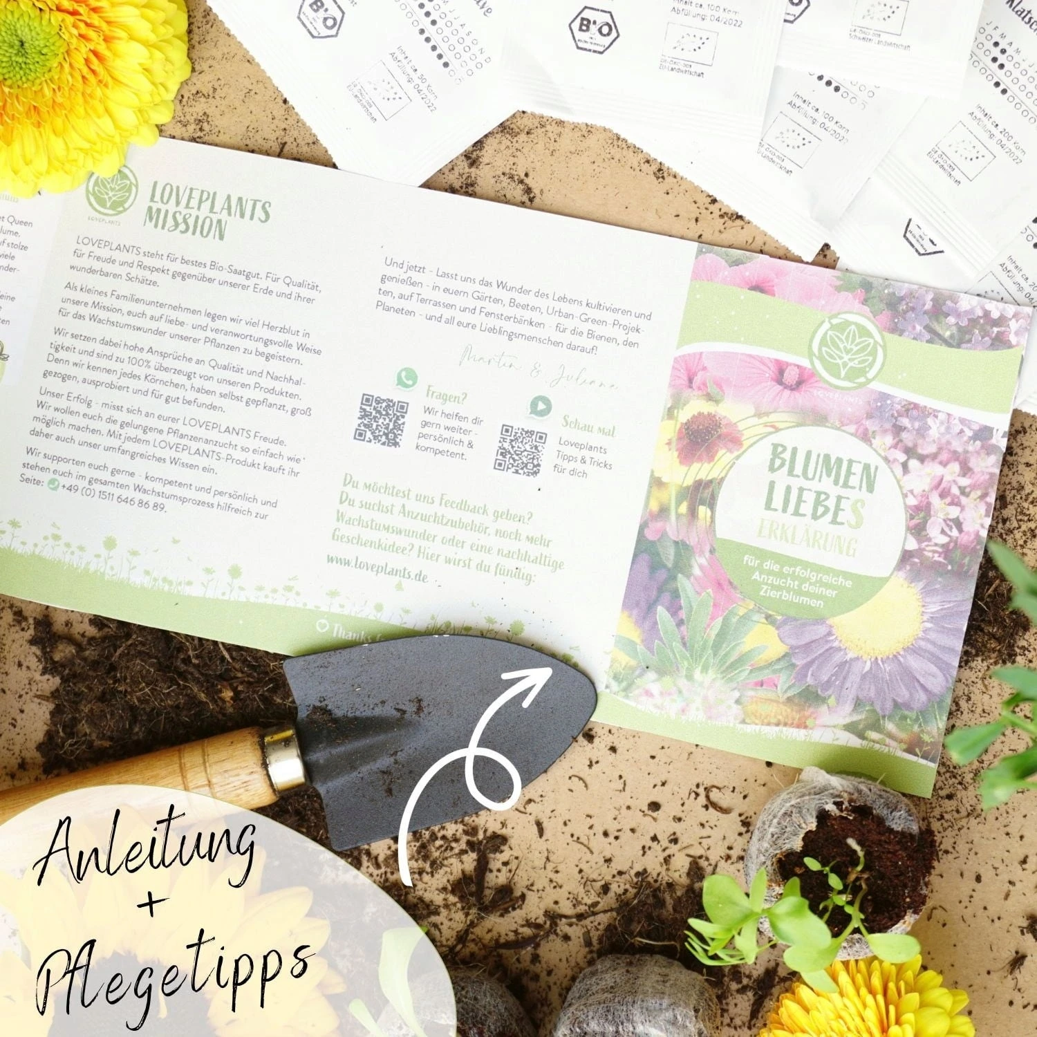 Set Di Semi Bio - Fiori 2 Set Di Semi Bio - Fiori - immagine 2