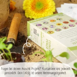 Set Di Semi Bio - Fiori 11 Set Di Semi Bio - Fiori -Offerta Economica Verdi Giard loveplants set di semi bio fiori 1546659 it