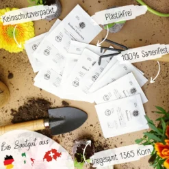 Set Di Semi Bio - Fiori