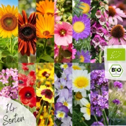 Set Di Semi Bio - Fiori 13 Set Di Semi Bio - Fiori -Offerta Economica Verdi Giard loveplants set di semi bio fiori 1546667 it