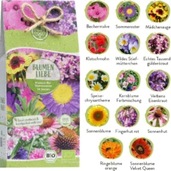 Set Di Semi Bio - Fiori 12 Set Di Semi Bio - Fiori -Offerta Economica Verdi Giard loveplants set di semi bio fiori 1550330 it