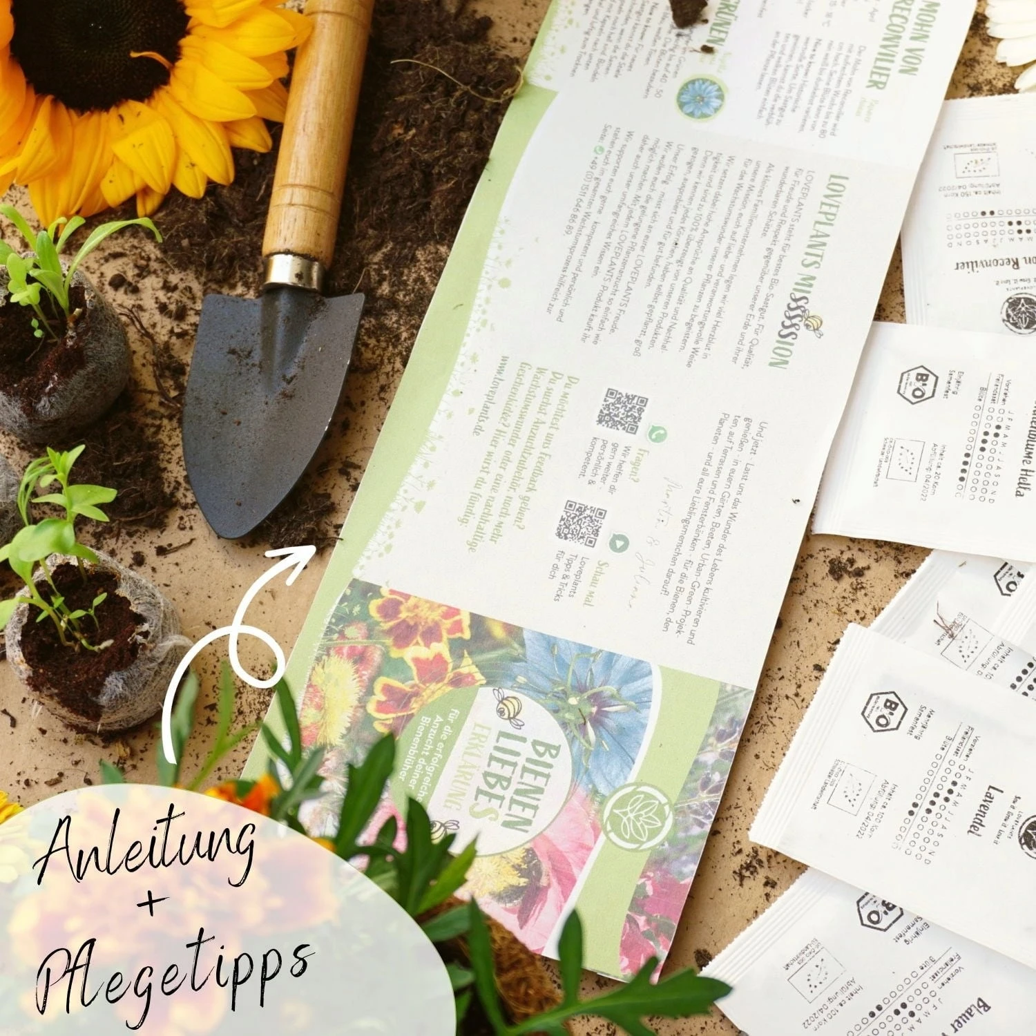 Set Di Semi Bio - Fiori Per Api 7 Set Di Semi Bio - Fiori Per Api - immagine 7