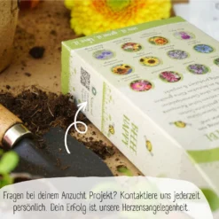 Set Di Semi Bio - Fiori Per Api 10 Set Di Semi Bio - Fiori Per Api -Offerta Economica Verdi Giard loveplants set di semi bio fiori per api 1546729 it