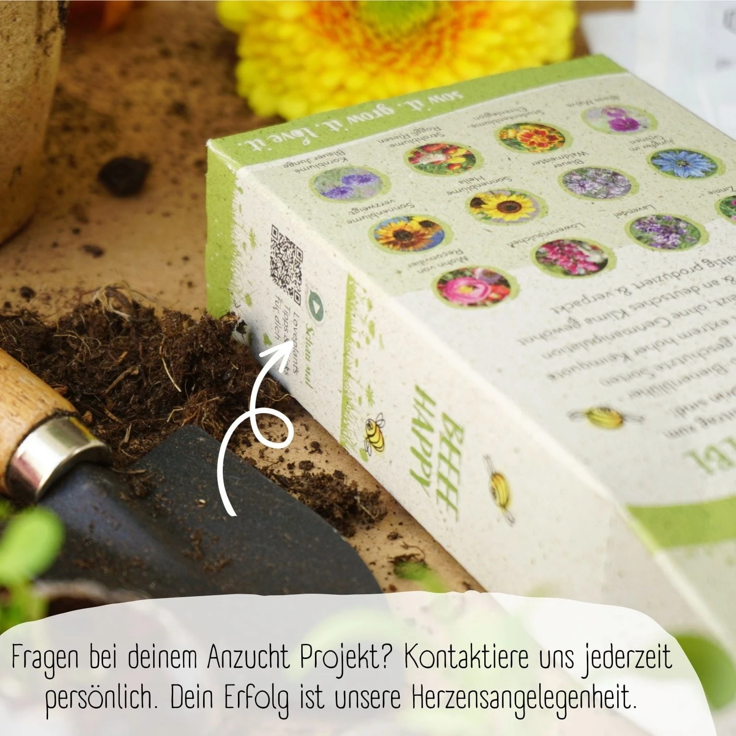 Set Di Semi Bio - Fiori Per Api 4 Set Di Semi Bio - Fiori Per Api - immagine 4