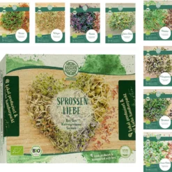 Set Di Semi Bio - Germogli -Offerta Economica Verdi Giard loveplants set di semi bio germogli 1550342 it