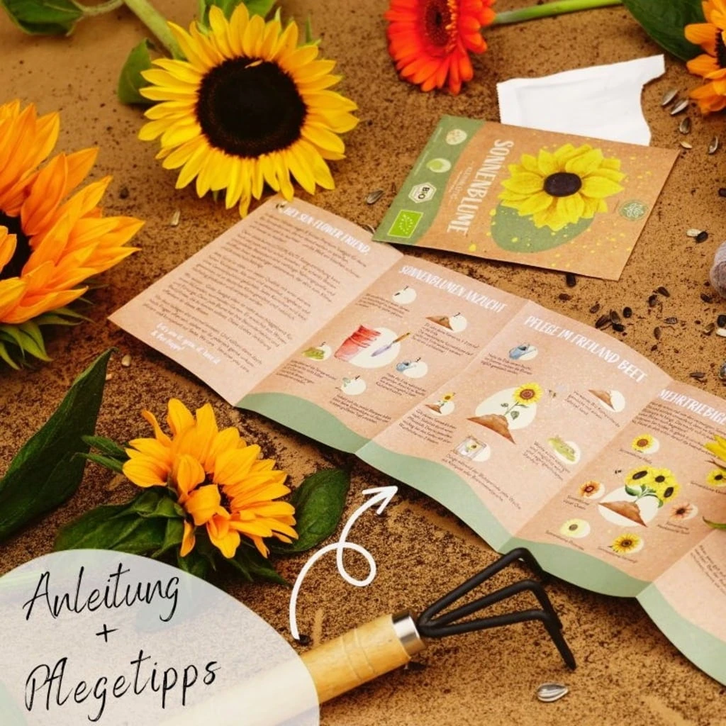 Set Di Semi Bio - Girasoli 3 Set Di Semi Bio - Girasoli - immagine 3