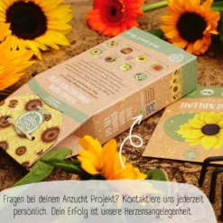 Set Di Semi Bio - Girasoli