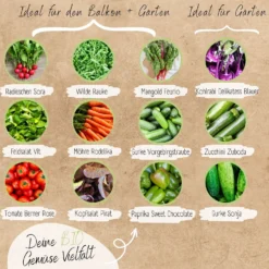 Set Di Semi Bio - Verdure 9 Set Di Semi Bio - Verdure -Offerta Economica Verdi Giard loveplants set di semi bio verdure 1546969 it