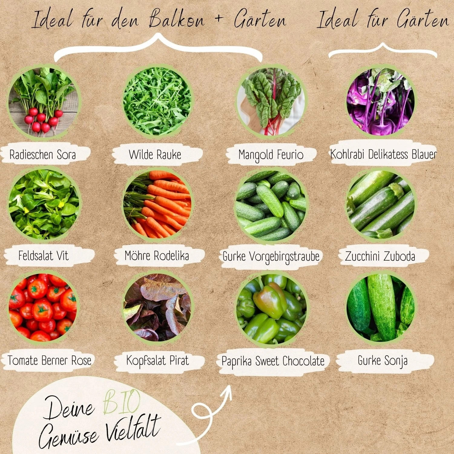 Set Di Semi Bio - Verdure 5 Set Di Semi Bio - Verdure - immagine 5