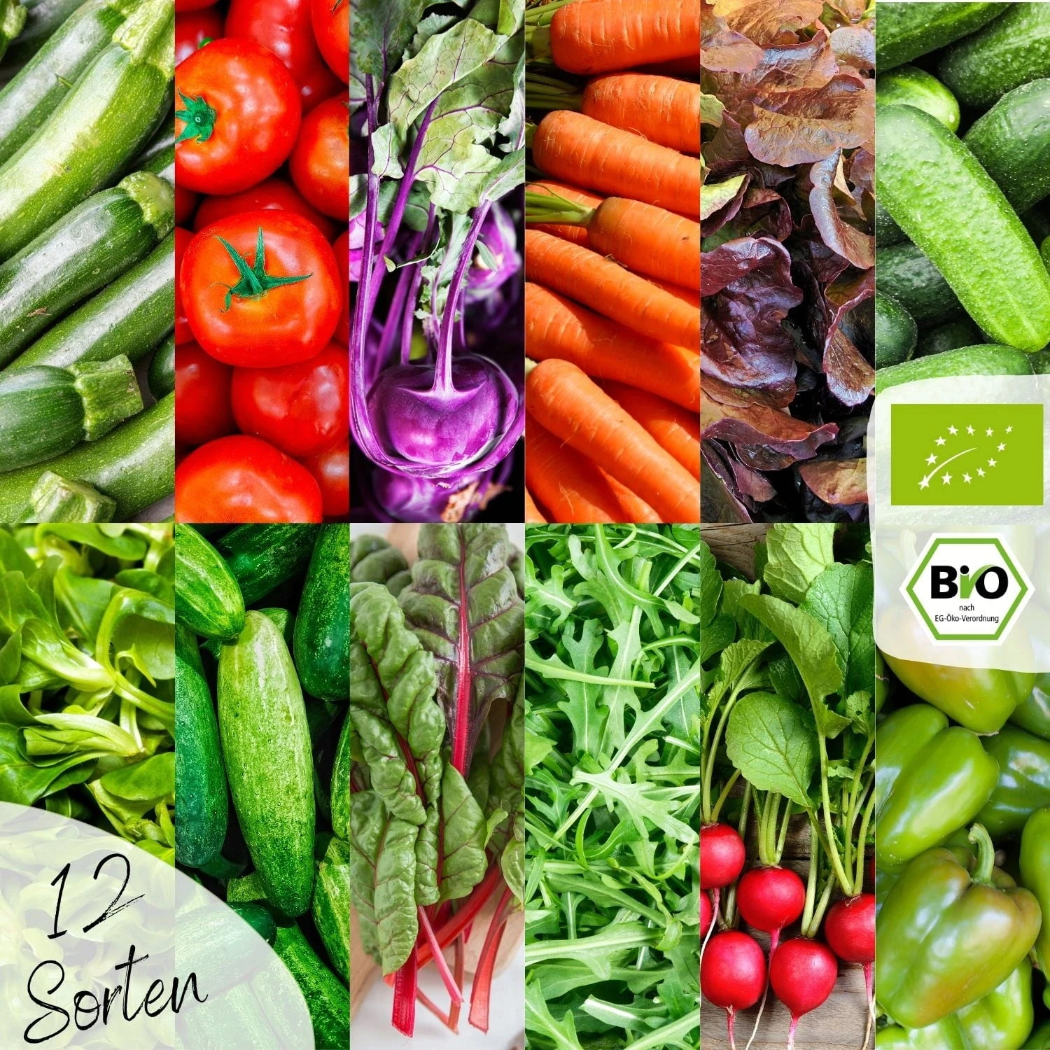 Set Di Semi Bio - Verdure 3 Set Di Semi Bio - Verdure - immagine 3