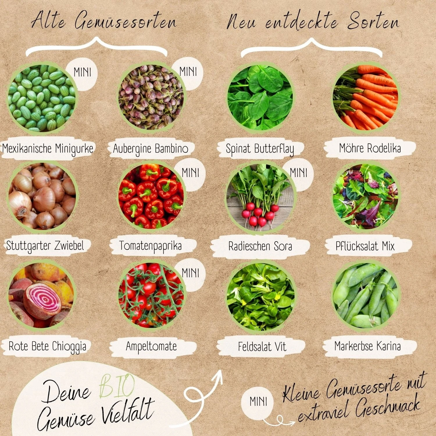 Set Di Semi Bio - Verdure Per Orto Rialzato E Balcone 2 Set Di Semi Bio - Verdure Per Orto Rialzato E Balcone - immagine 2