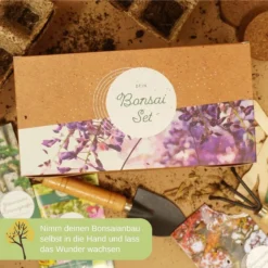 Starter Set - Bonsai -Offerta Economica Verdi Giard loveplants starter set bonsai 1546409 it