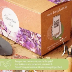 Starter Set - Bonsai -Offerta Economica Verdi Giard loveplants starter set bonsai 1546413 it