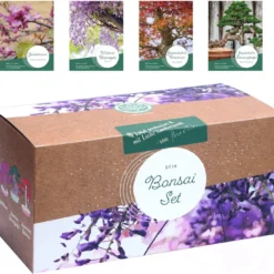 Starter Set - Bonsai -Offerta Economica Verdi Giard loveplants starter set bonsai 1550300 it