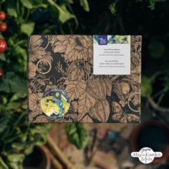 6 Varietà Di Piante Bio: Di Tutto Un Po' - Set Di Semi 15 6 Varietà Di Piante Bio: Di Tutto Un Po' - Set Di Semi -Offerta Economica Verdi Giard magic garden seeds 6 varieta di piante bio di tutto un po set di semi 1437549 it