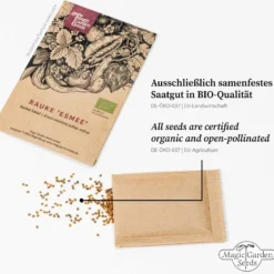 6 Varietà Di Piante Bio: Di Tutto Un Po' - Set Di Semi 11 6 Varietà Di Piante Bio: Di Tutto Un Po' - Set Di Semi -Offerta Economica Verdi Giard magic garden seeds 6 varieta di piante bio di tutto un po set di semi 1437607 it