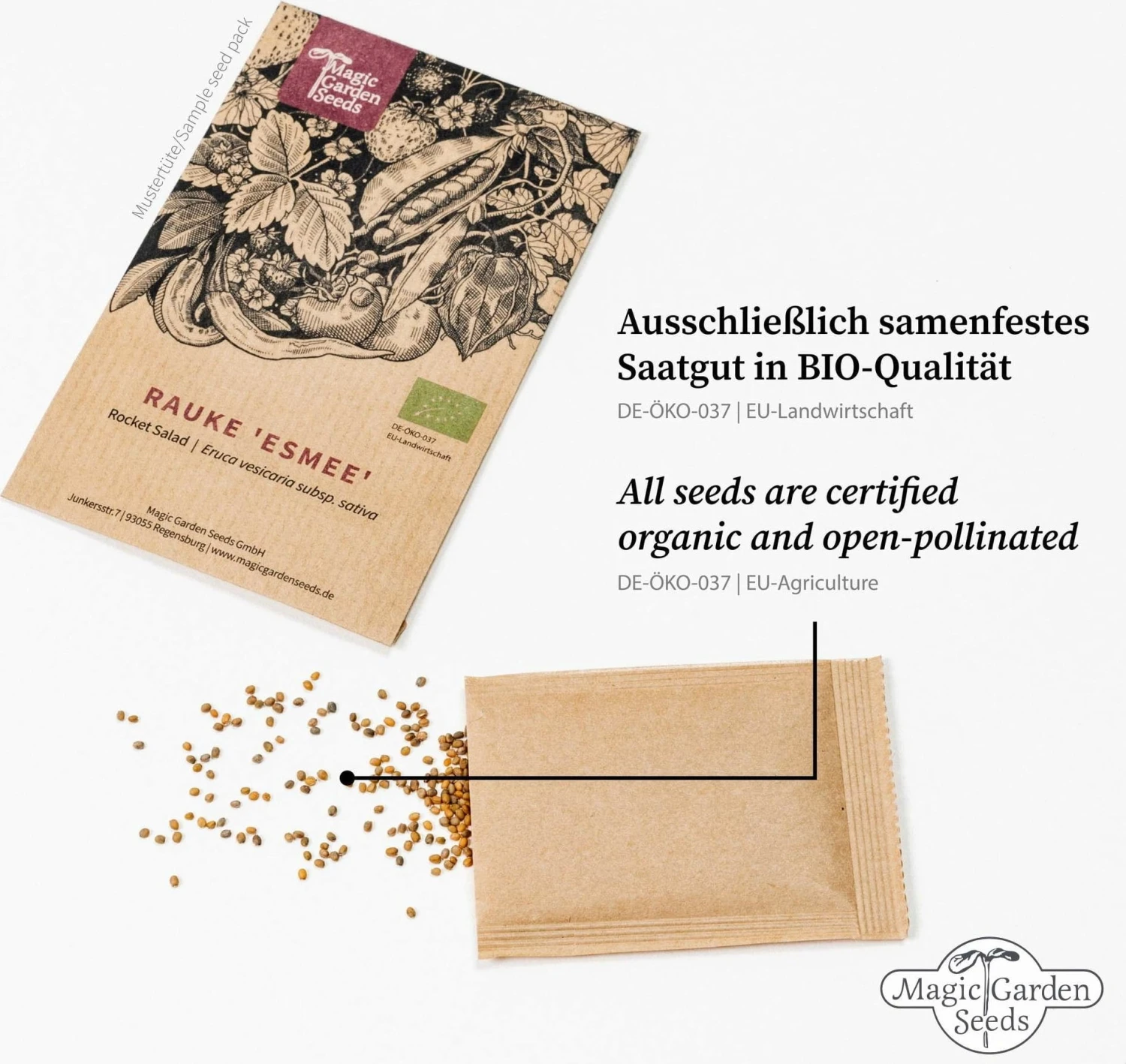 6 Varietà Di Piante Bio: Di Tutto Un Po' - Set Di Semi 4 6 Varietà Di Piante Bio: Di Tutto Un Po' - Set Di Semi - immagine 4